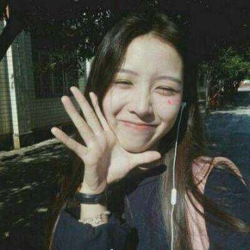 香港最准资料免费公开手机app下载截图