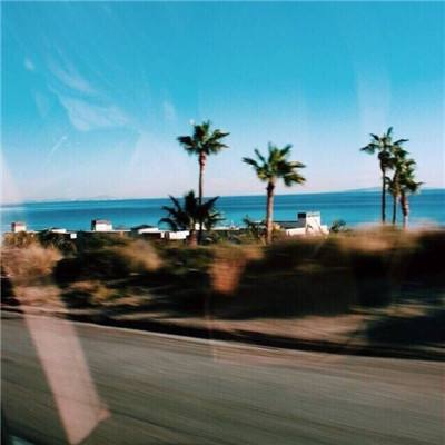 今期澳门三肖三码开一码下载手机版