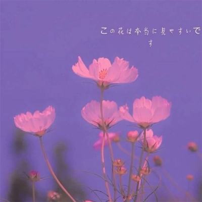 香港最准资料免费公开app下载