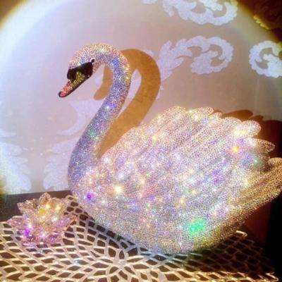 香港最准资料免费公开手机app下载