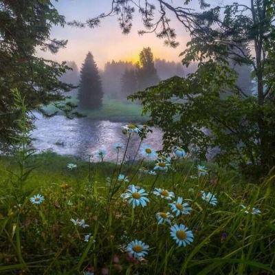 火狐电竞下载手机版